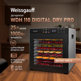 Картинка Weissgauff WDH 110 Digital Dry Pro