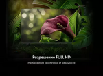 Превью картинка Телевизор Haier 40 Smart TV D1 Pro #6