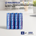 Превью картинка Аксессуар Maunfeld MBLR03-SR40 #4
