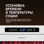 Превью картинка Сушилка для овощей и фруктов Weissgauff WDH 216 Digital Maxi Dry #10
