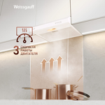 Превью картинка Козырьковая вытяжка Weissgauff Cover 50 White #13